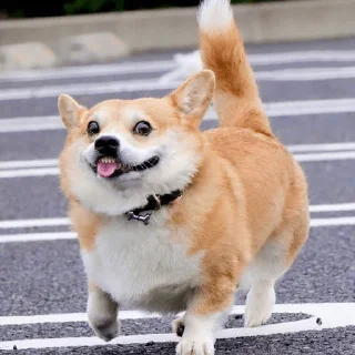 🤪