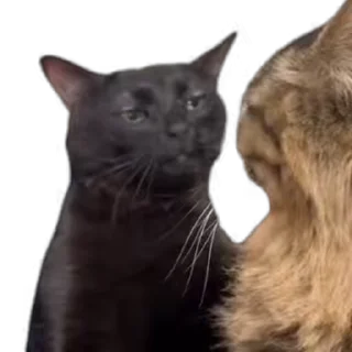 😐