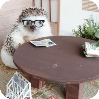 🤓