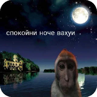 🌌