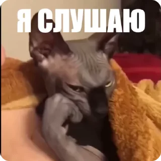 😃
