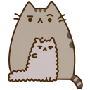 🐱