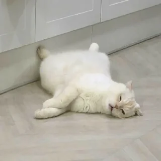 🙂