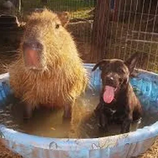 🛁