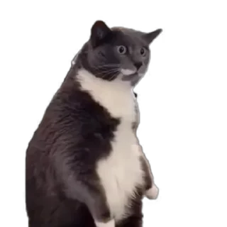 😨