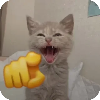 🤣