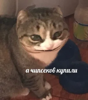 😄