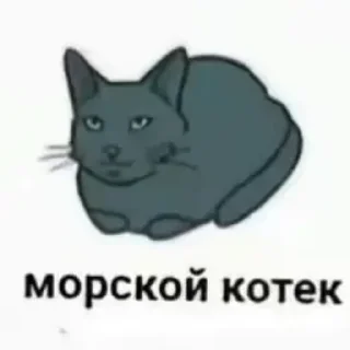 😭