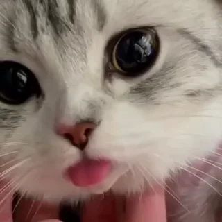 💗
