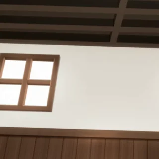 🥺