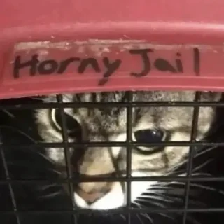 🚫