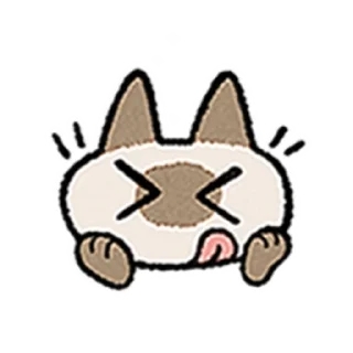 😺