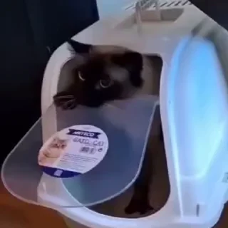 😬