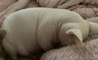 😔