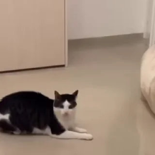 🏃