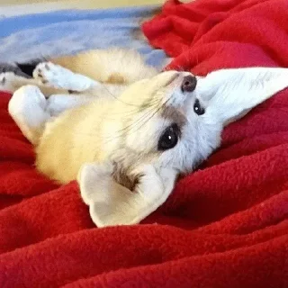 🙃