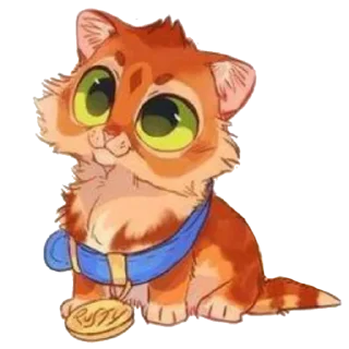 🐱