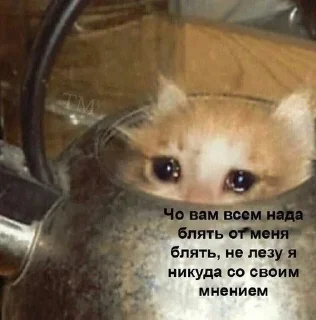 🥹