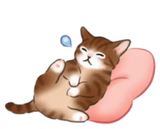 🐱