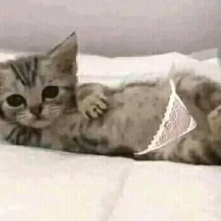 😏