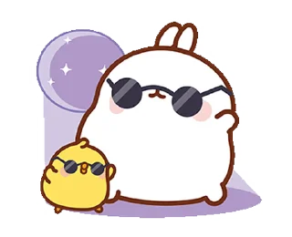 😎
