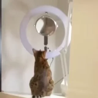 😳
