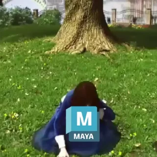 🐓
