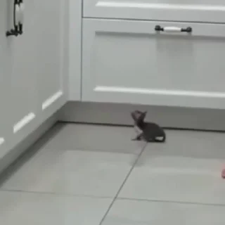 👀