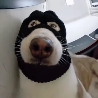 👀