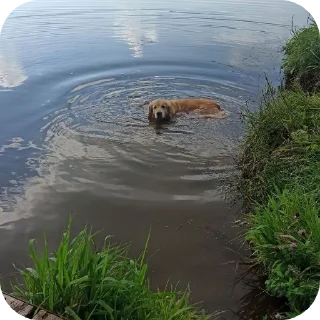 🏞
