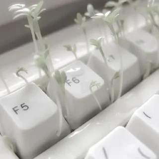 📗