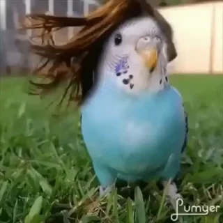💇