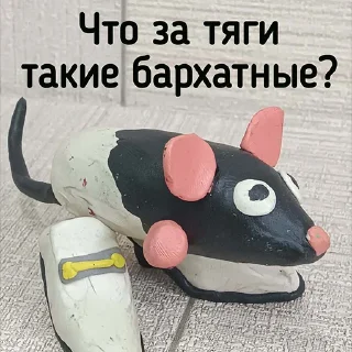 👞