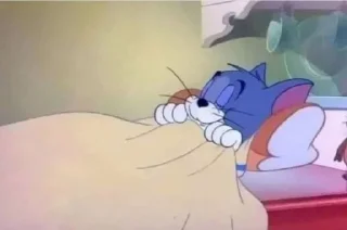 😴