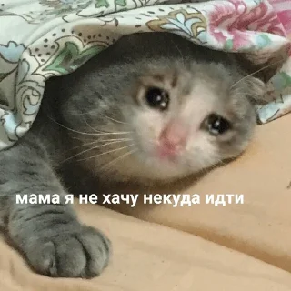 ☹️