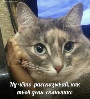 🤍