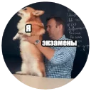 ✍