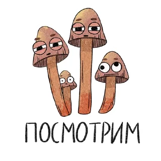 👀