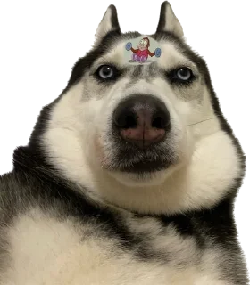 😐