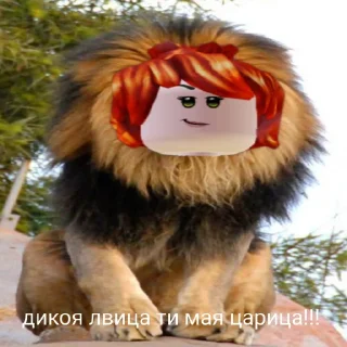 🦁