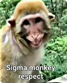 😎