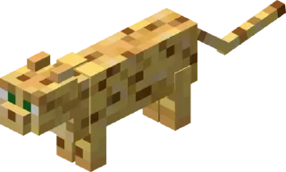 🐯
