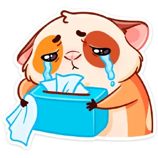 😭