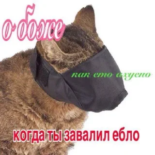 😌