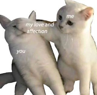 ❤️