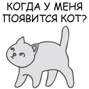 🐱