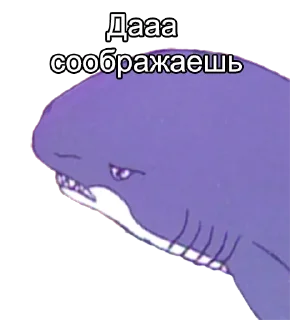 🦈