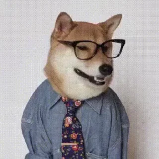 👓
