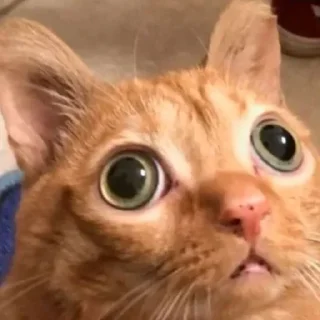😳