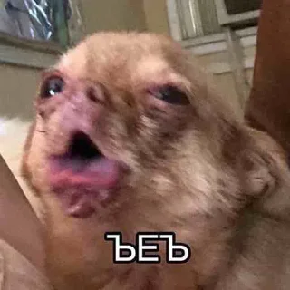 🤢